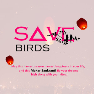Makar Sankranti Wisehs Images, Poster and Status Free Download 30 save birds